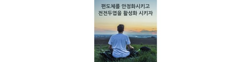 편도체를 안정화 시키고 전전두엽을 활성화 시키자