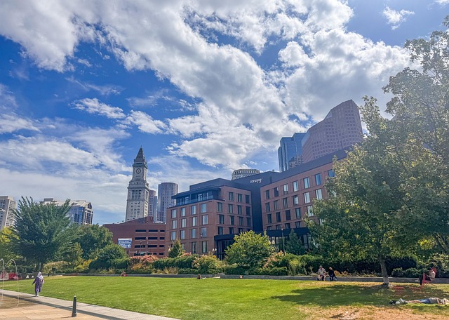 어디서 무엇을 살 것인가