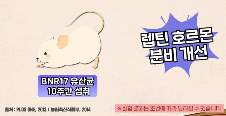 bnr17유산균 효능