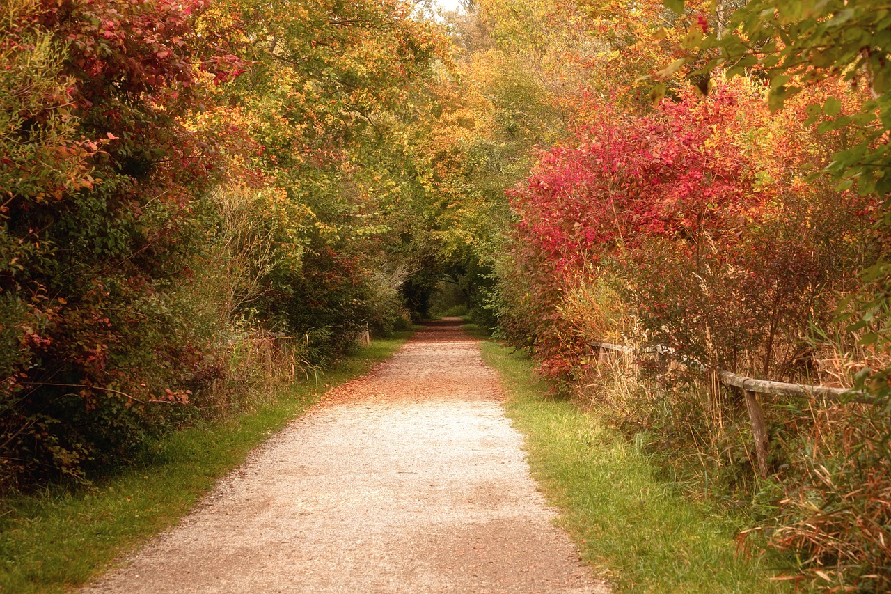 화담숲 예약방법 단풍의 절정시기 가는방법
