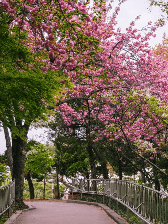 인천자유공원