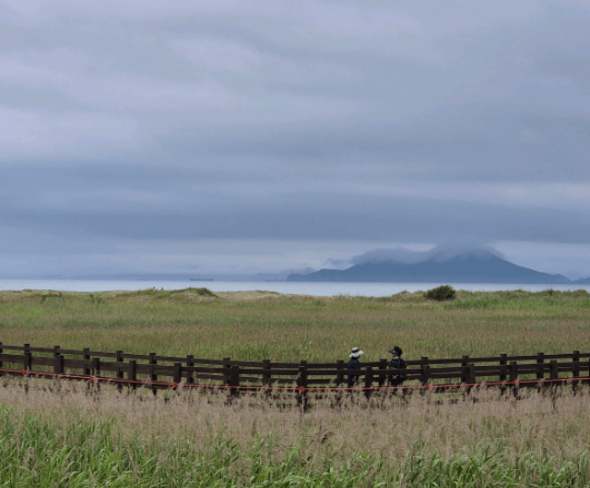 2024 부산 해수욕장 개장일