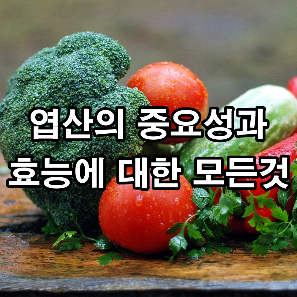 엽산의 중요성