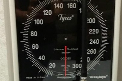 자연 식품 활용 관련 사진