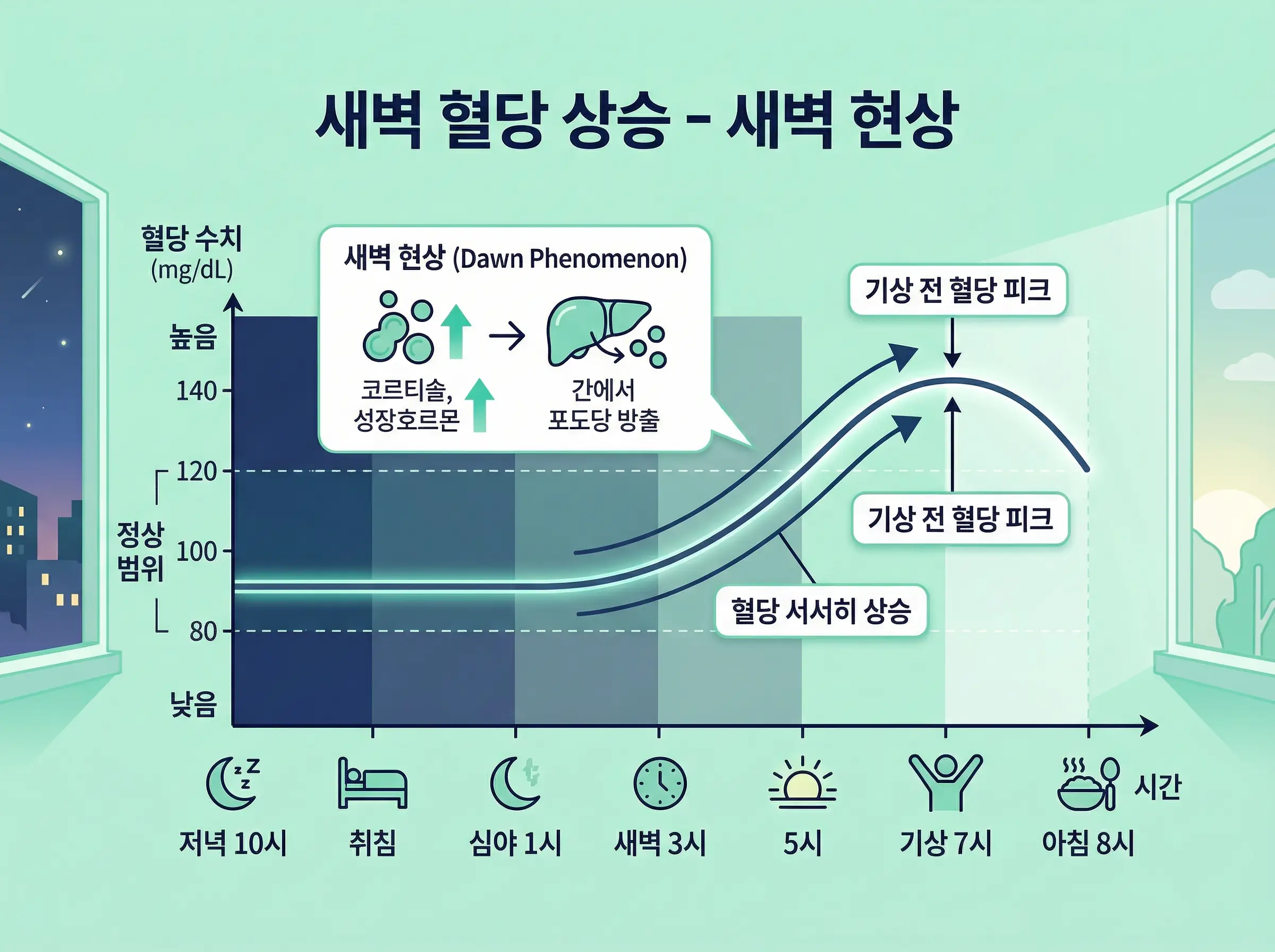 새벽현상을 설명하는 혈당 곡선 인포그래픽