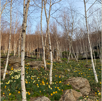 화담숲 예약 모노레일