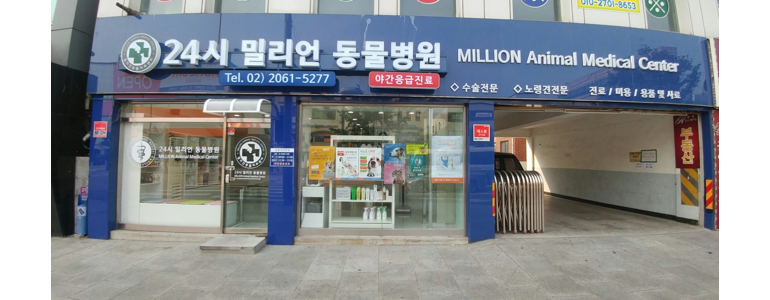 서울 양천구 동물병원