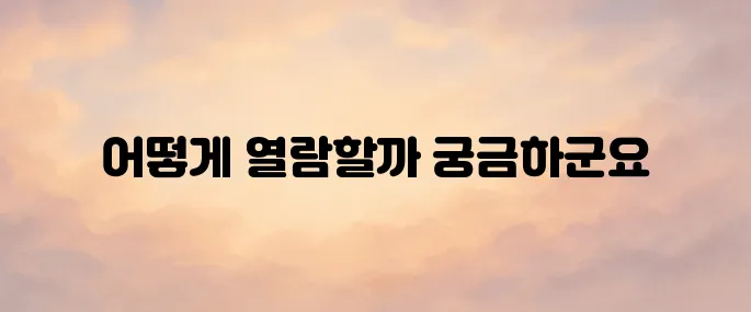 건축물대장 무료 열람 및 발급 방법