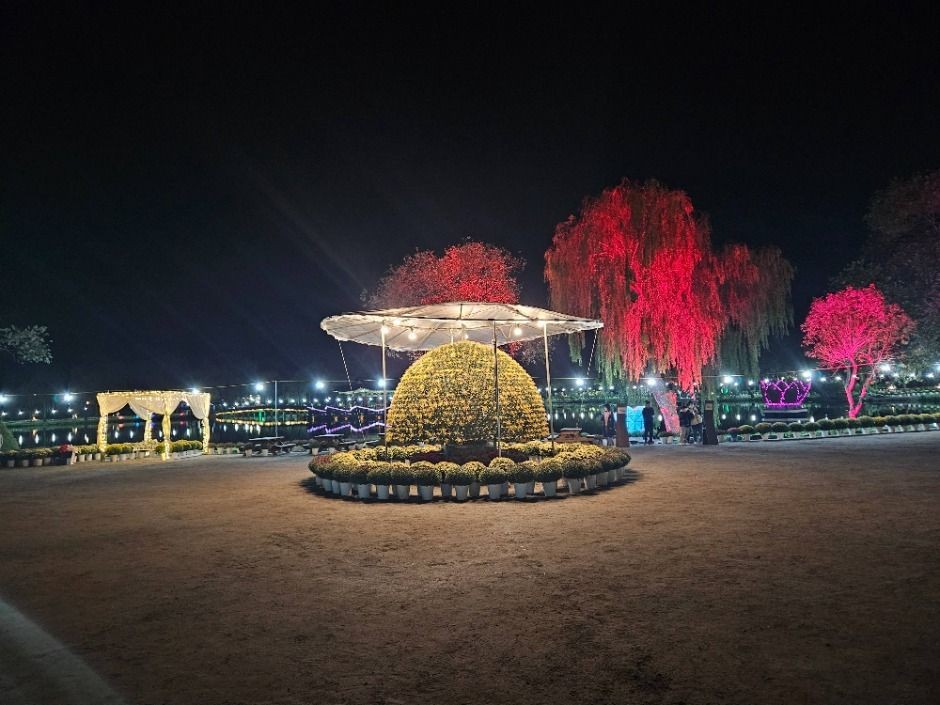 2025 백제고도부여 국화축제 ❘ 일정 &middot; 장소 &middot; 관람 포인트 &middot; 주차 총정리 관련 사진