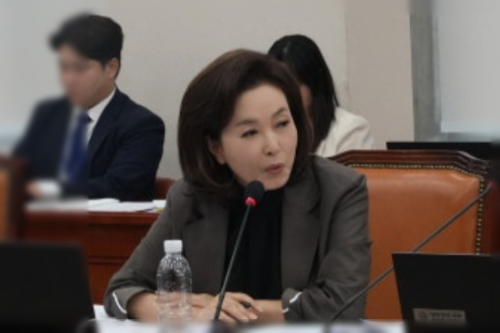 김민전 의원 프로필 나이 고향 학력 경력