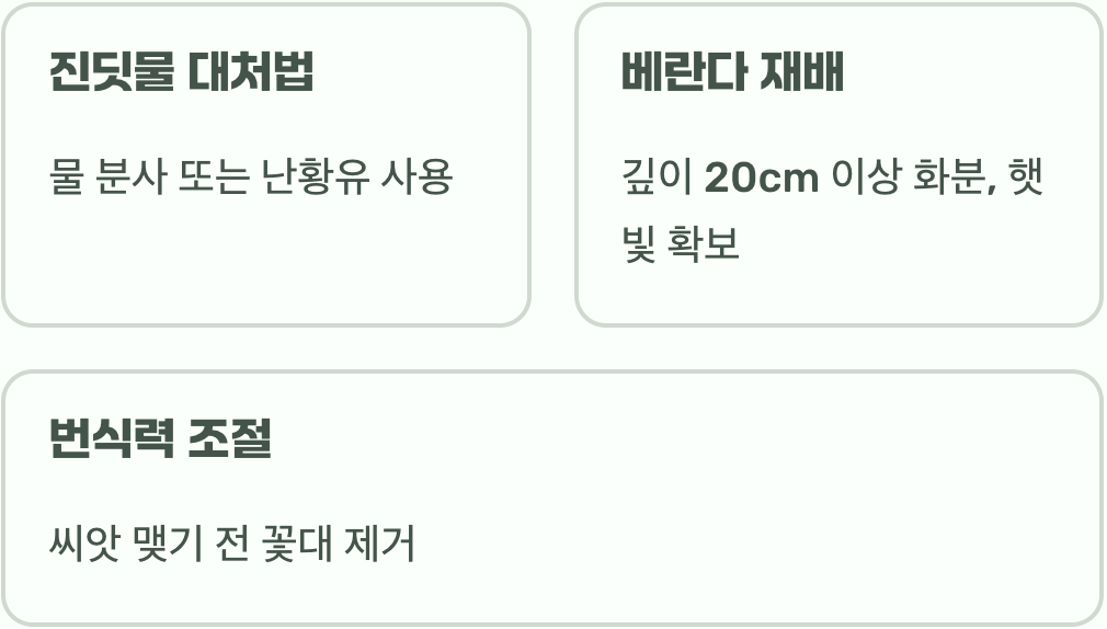 서양민들레 키우기, 씨앗부터 키우는 법과 관리 노하우