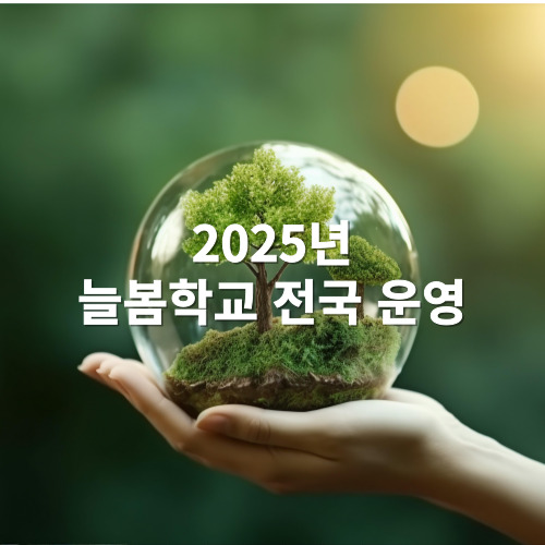 2025년 늘봄학교