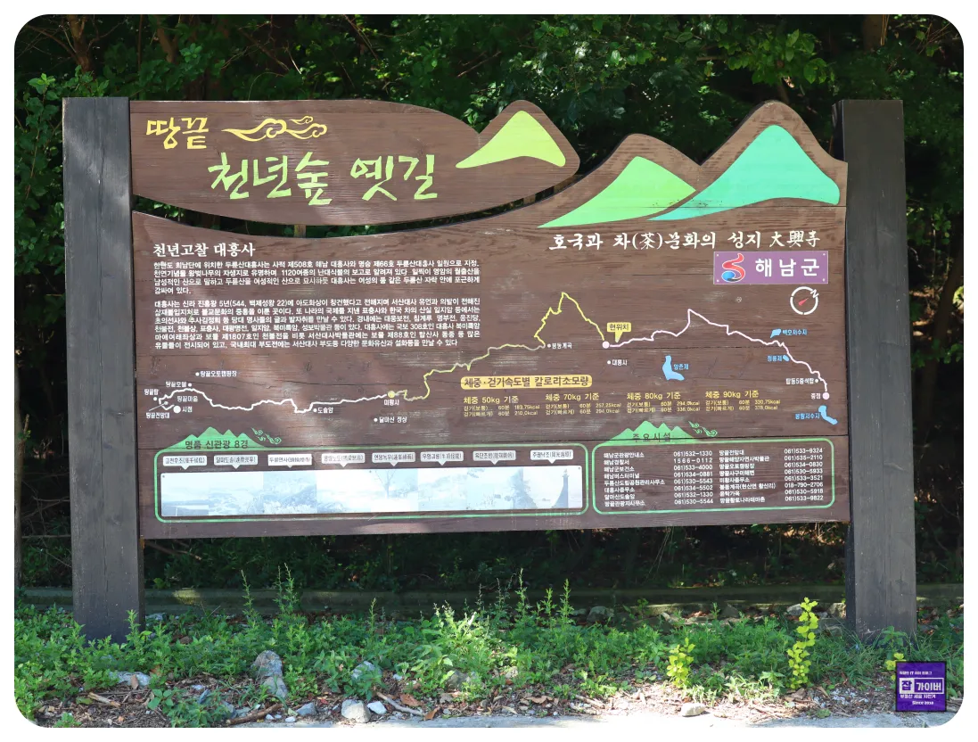 해남 숲길 산책로