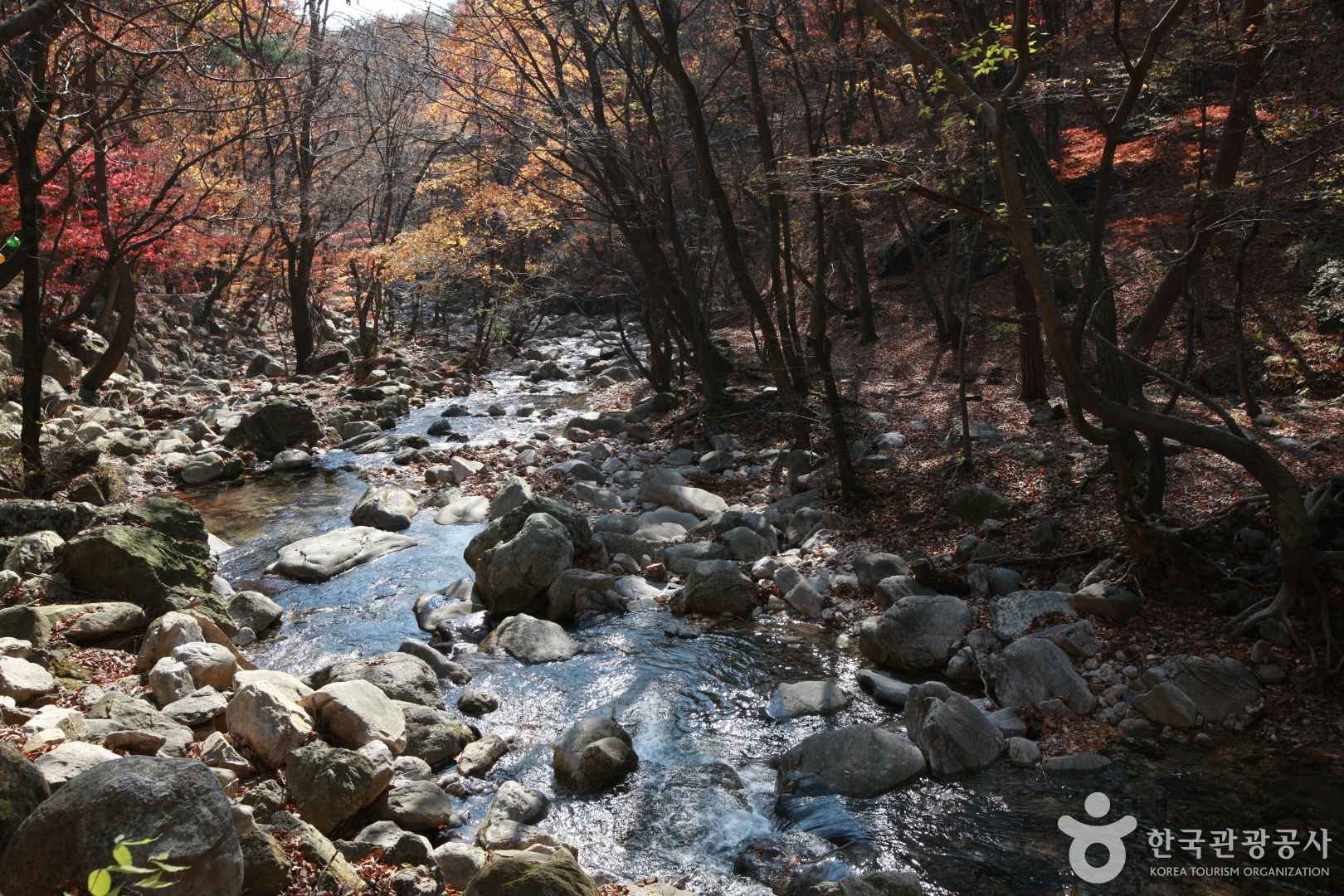 양평 용문사 트레킹