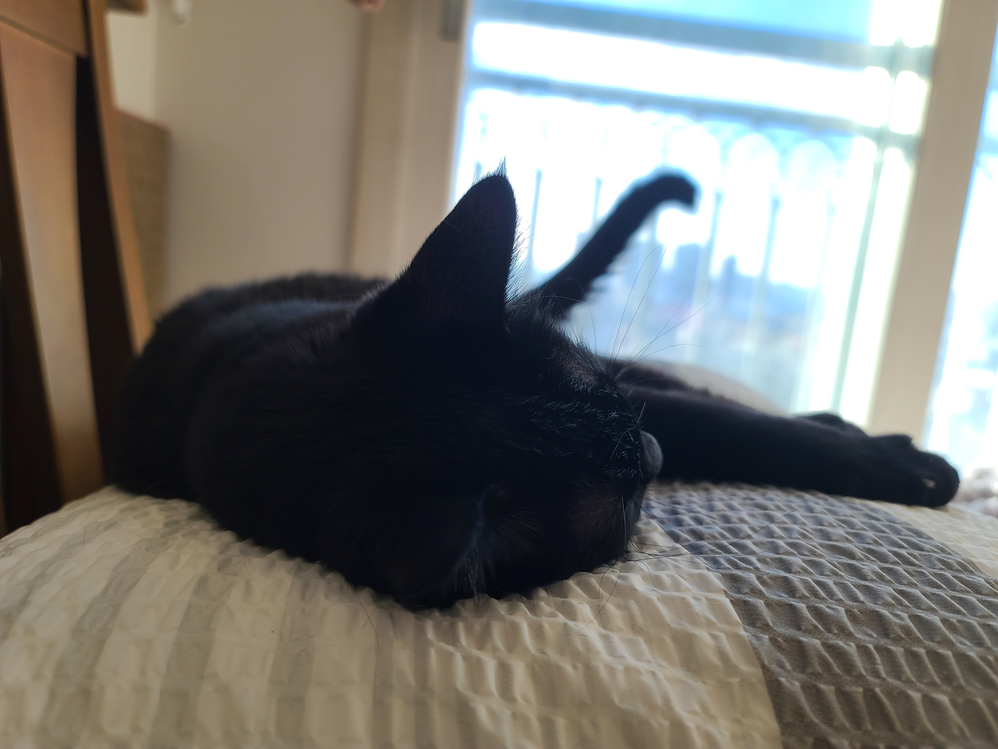 엄마랑 손잡고 잘래...?