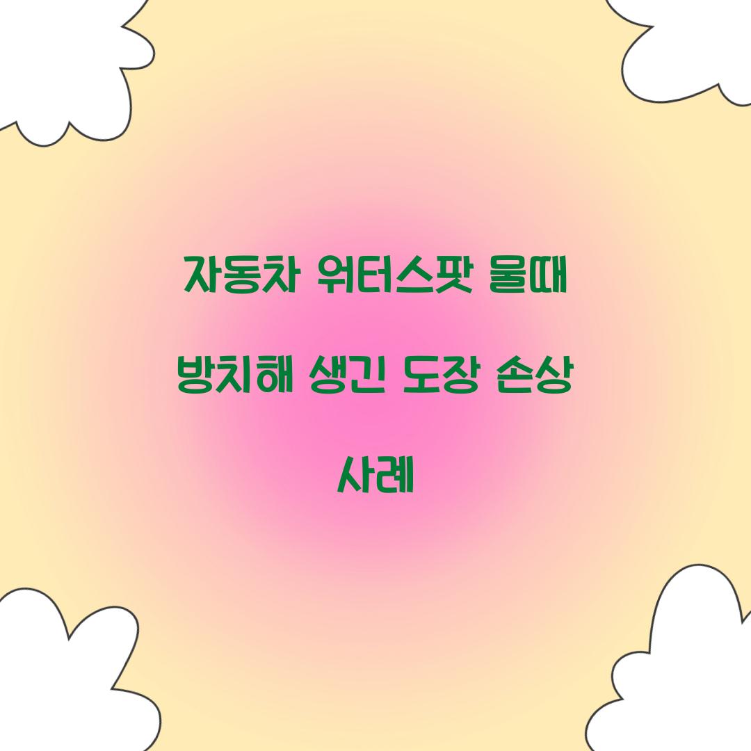 자동차 워터스팟 물때 방치해 생긴 도장 손상 사례