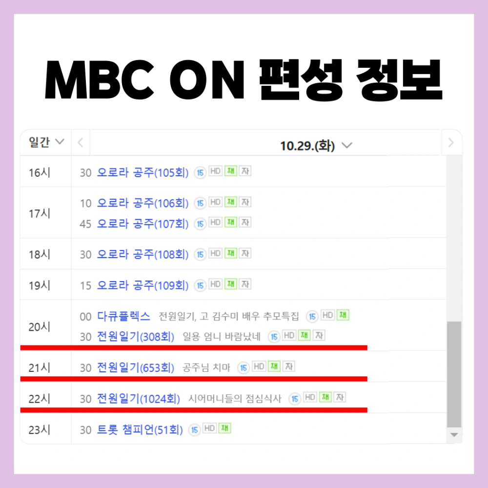 김수미-추모-특집 방송