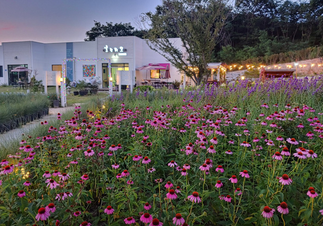 봄꽃구경 가볼만한 곳