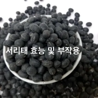 서리태 효능 콩물 만드는방법 수확시기 서리태콩 정보_22