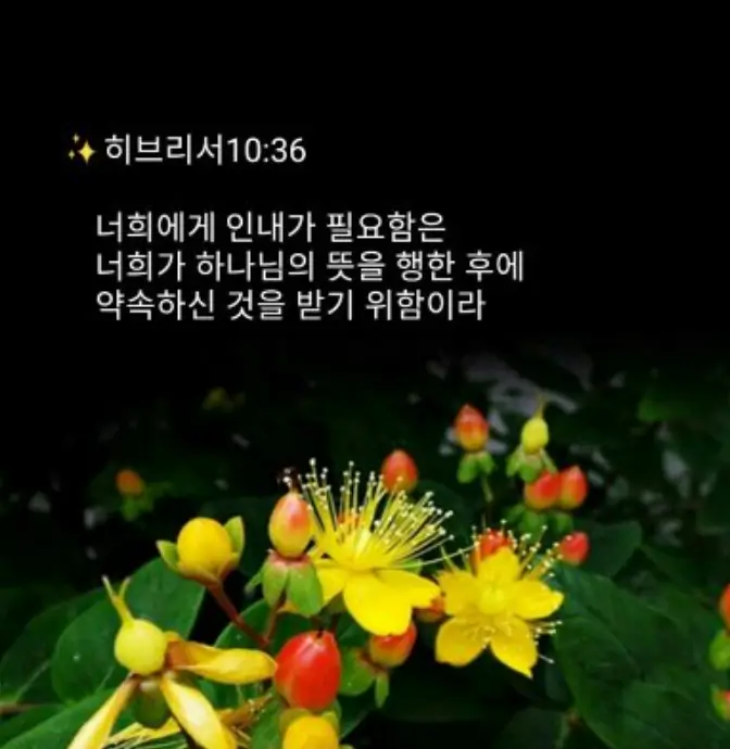 신년 말씀카드