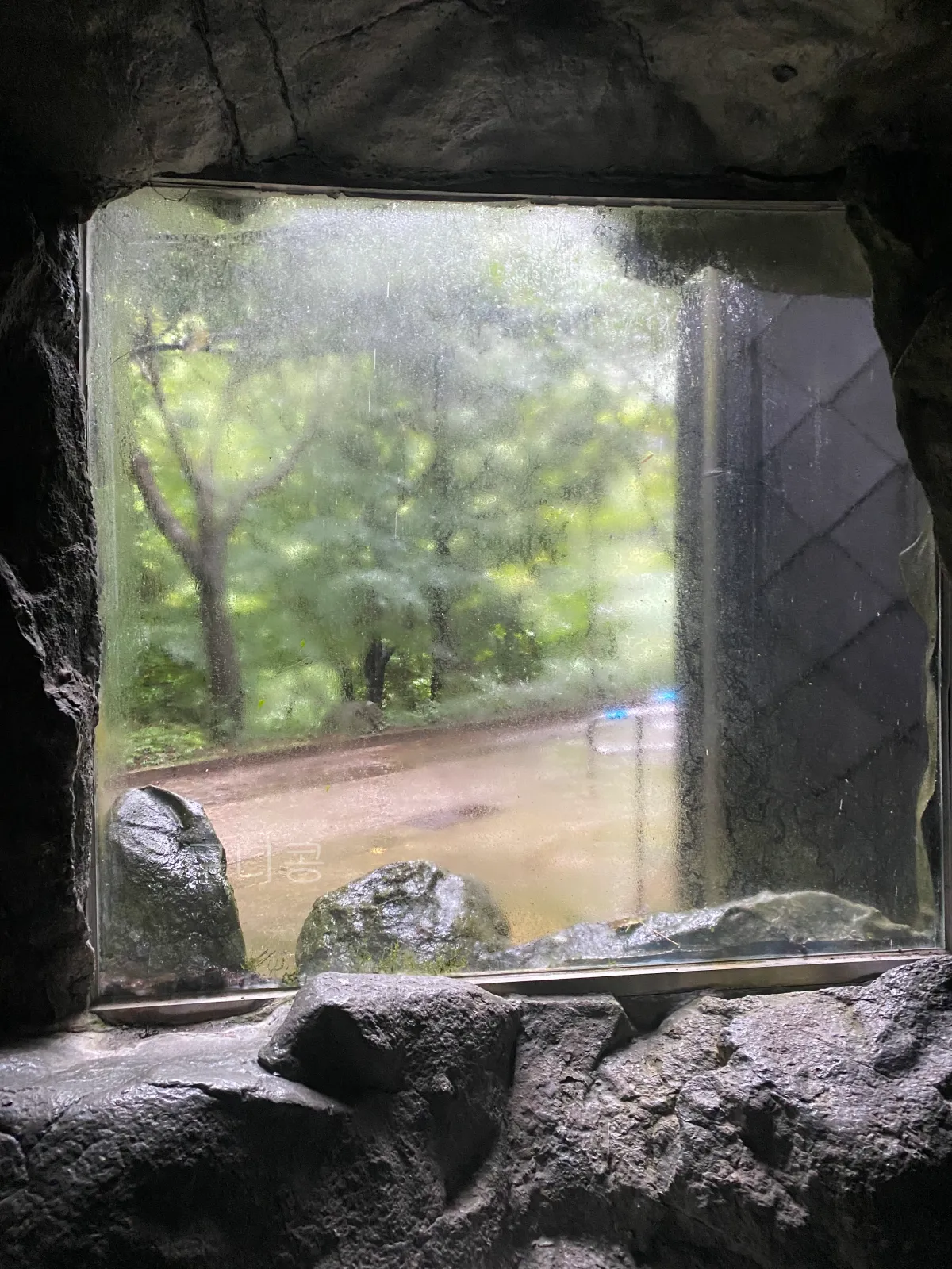 울릉도-추석가족여행-2일차-봉래폭포-입장료할인-주차정보-등산-난이도