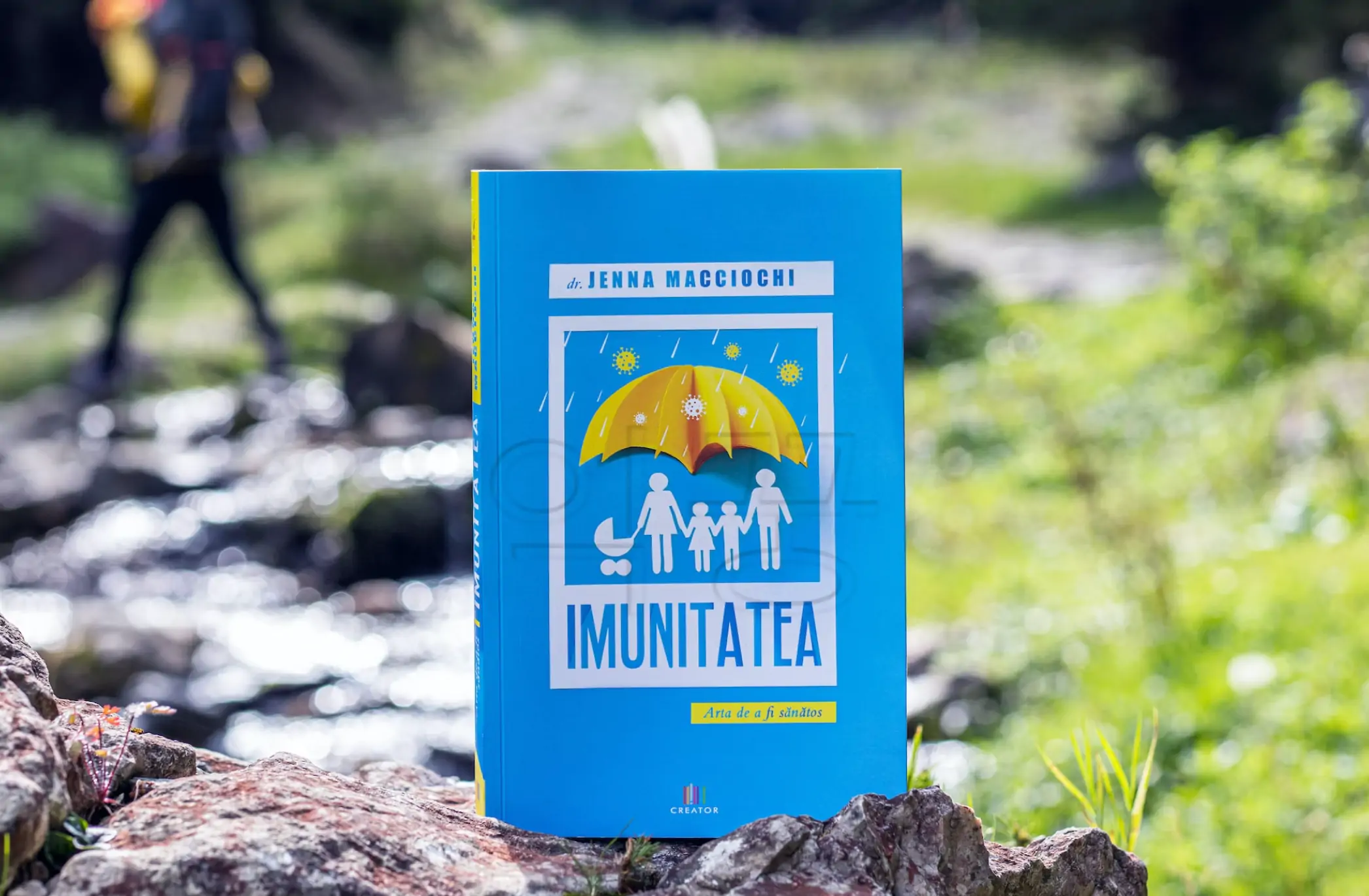 마키베리 효능 중 면역력 강화에 관한 사진