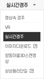 벚꽃 개화 시기, 벚꽃 명소 추천, 경주 벚꽃