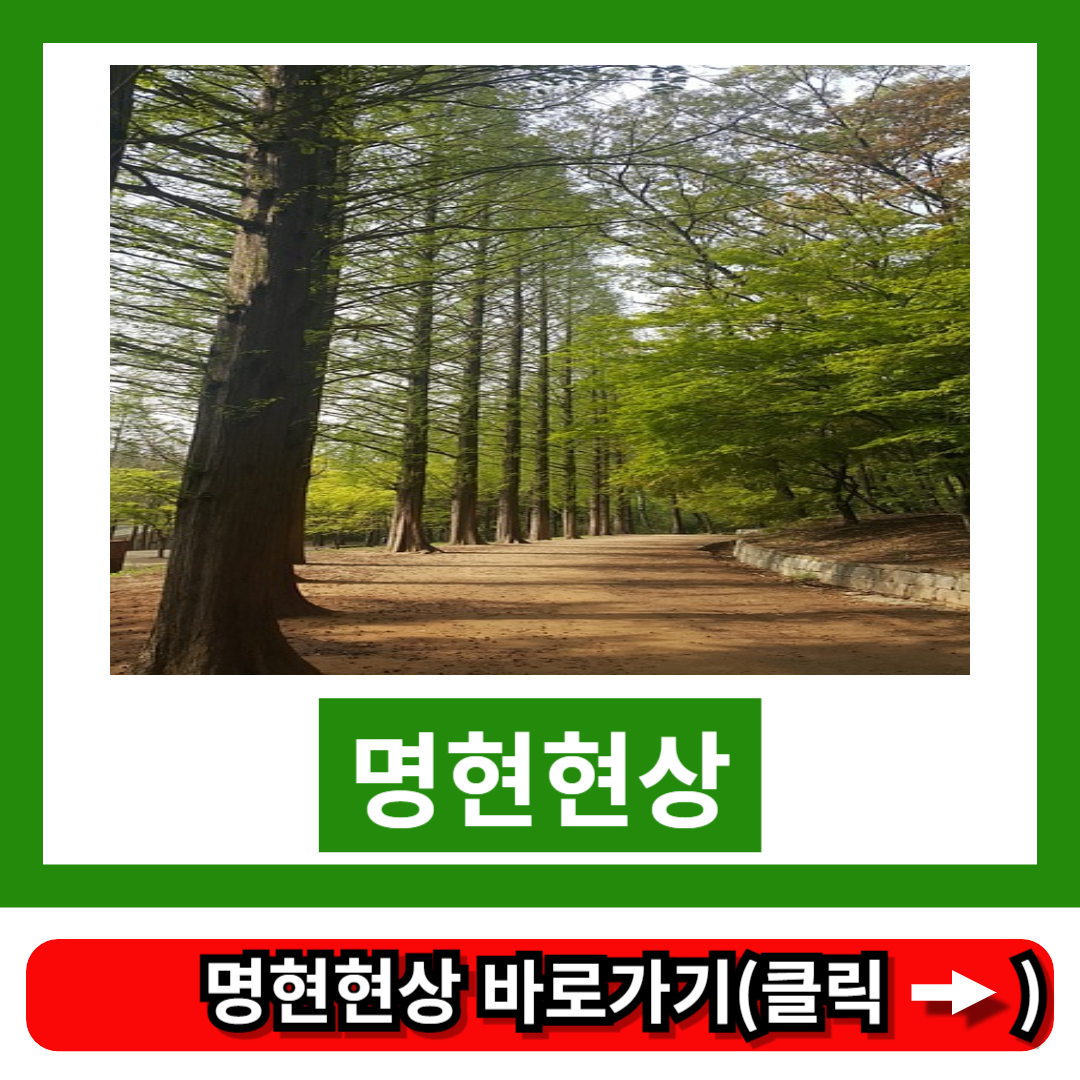 명현현상