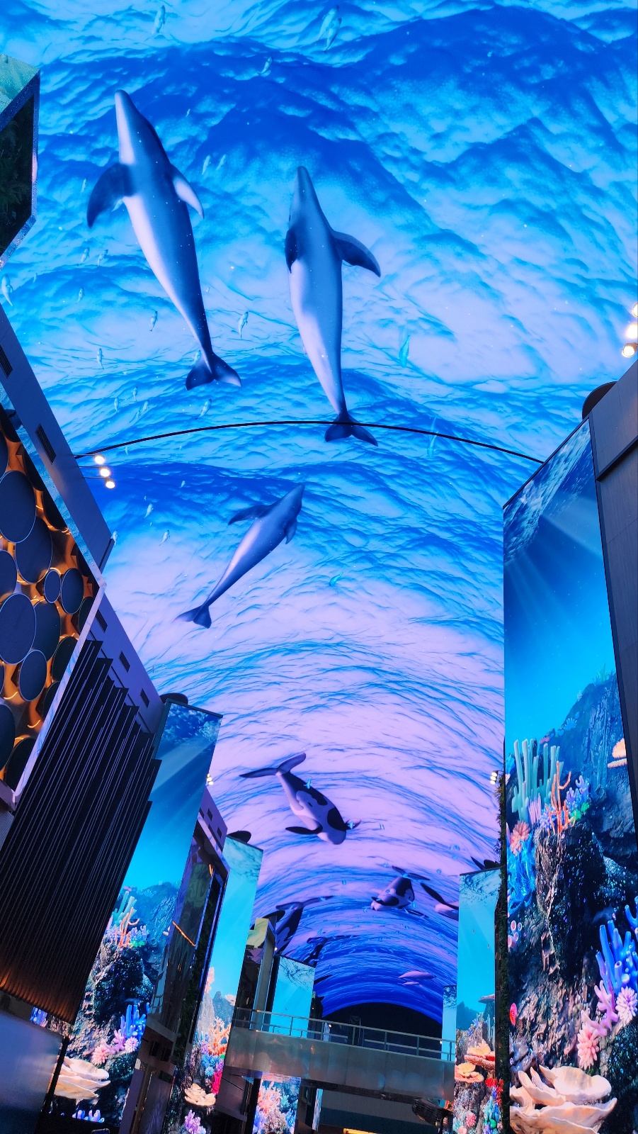 인스파이어리조트 오로라쇼 해양