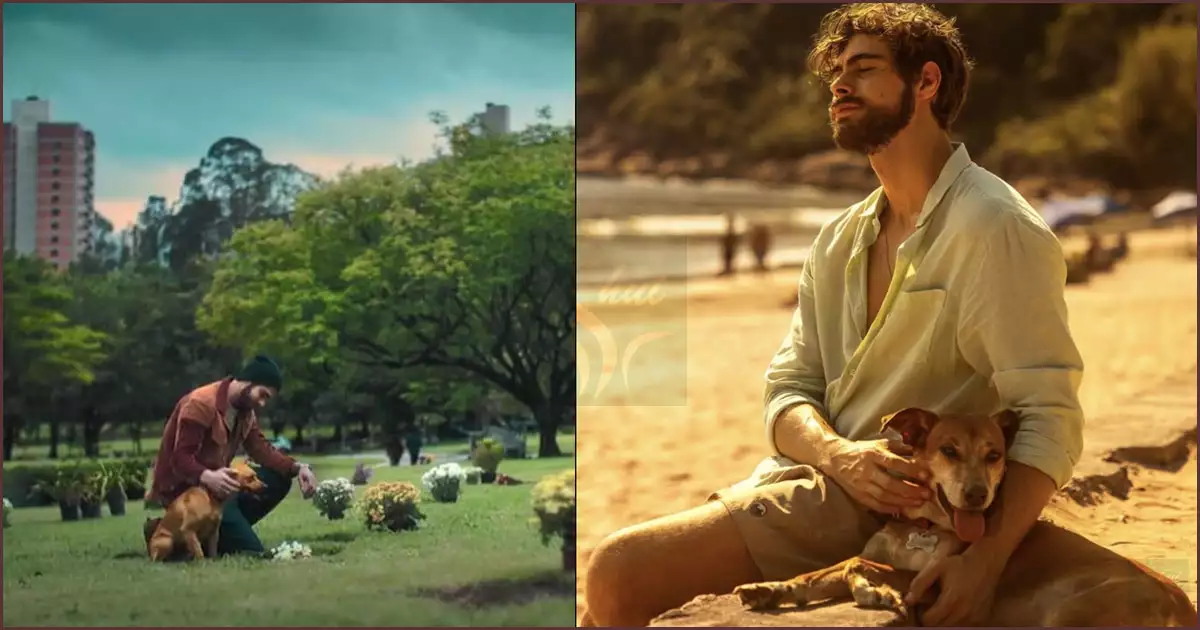 나이 든 카라멜루와 페드루의 잔잔한 일과