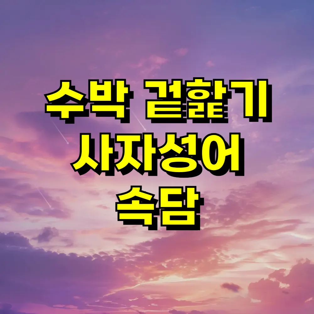 수박 겉핥기 사자성어 속담