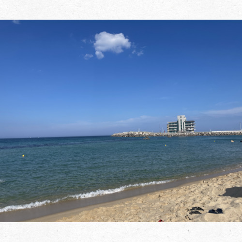 강릉 안목해변 감성 카페 거리