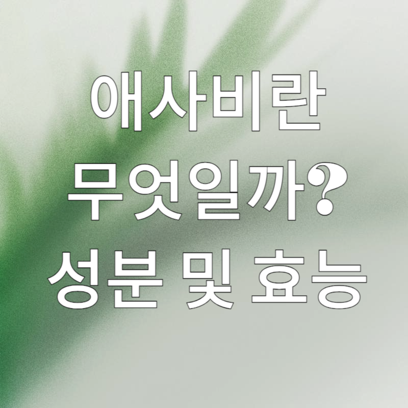 애사비 썸네일