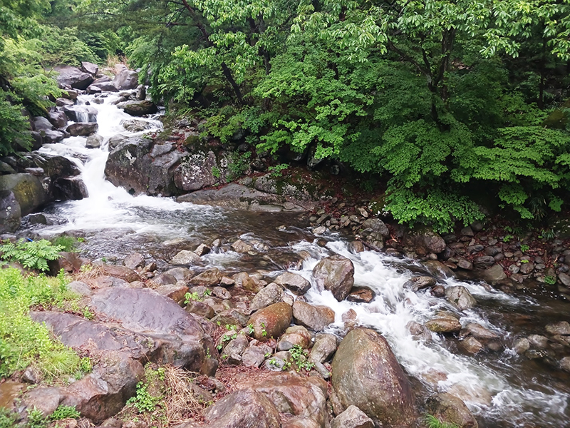 경남 쌍계사 템플스테이 신청 방법