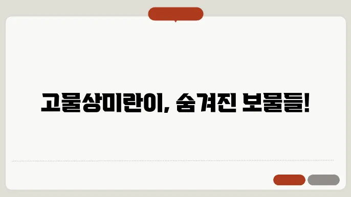 고물상미란이