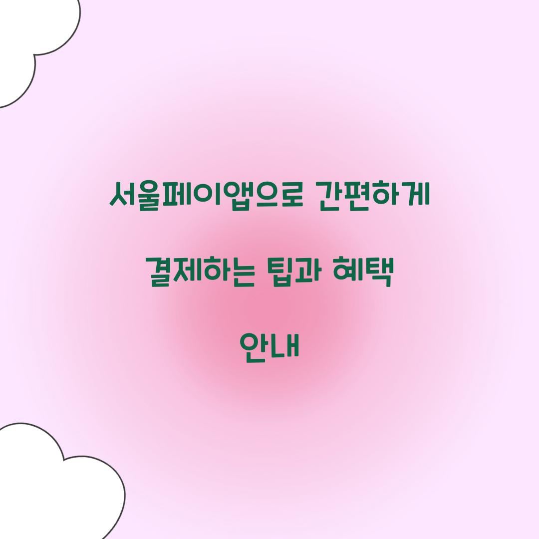 서울페이앱