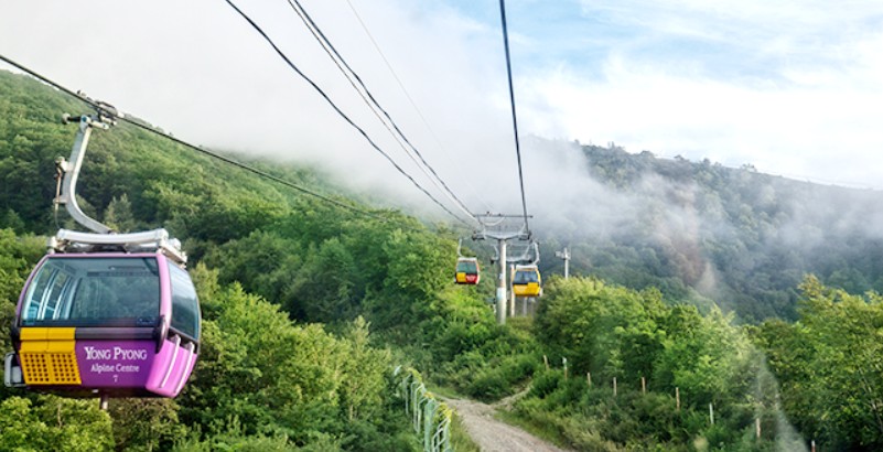 발왕산 케이블카 예약 및 시간 요금할인