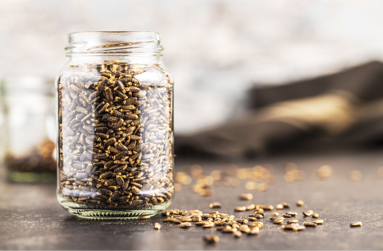 밀크씨슬 보조제