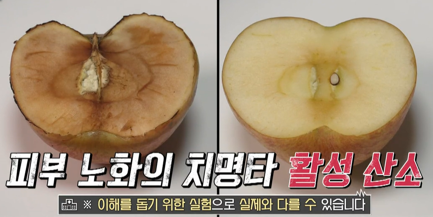 코엔자임큐텐의 효능