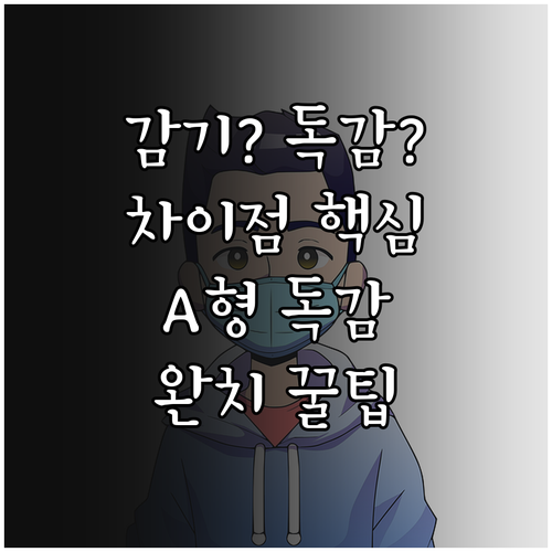 감기 독감 차이점 비교와 A형 독감 ..