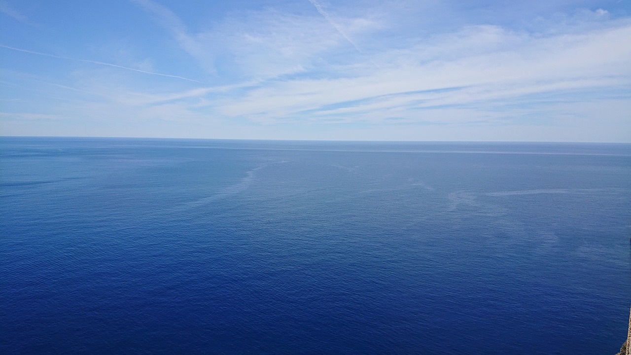 신규사업 개발과 블루오션 개척 전략: 상세 분석 및 사례연구