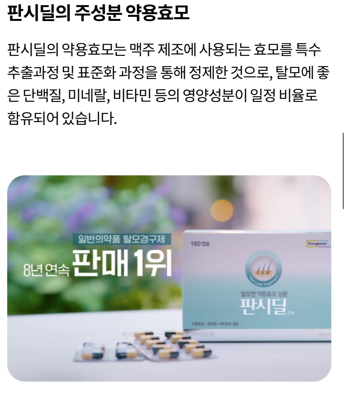 판시딜의 주성분 약용효모