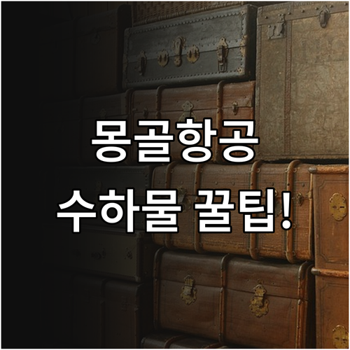 몽골항공 온라인 체크인 후 수하물 부..