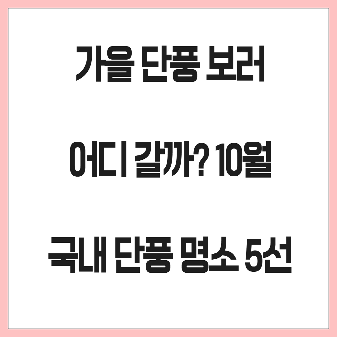 가을 단풍 보러 어디 갈까? 10월 국내 단풍 명소 5선