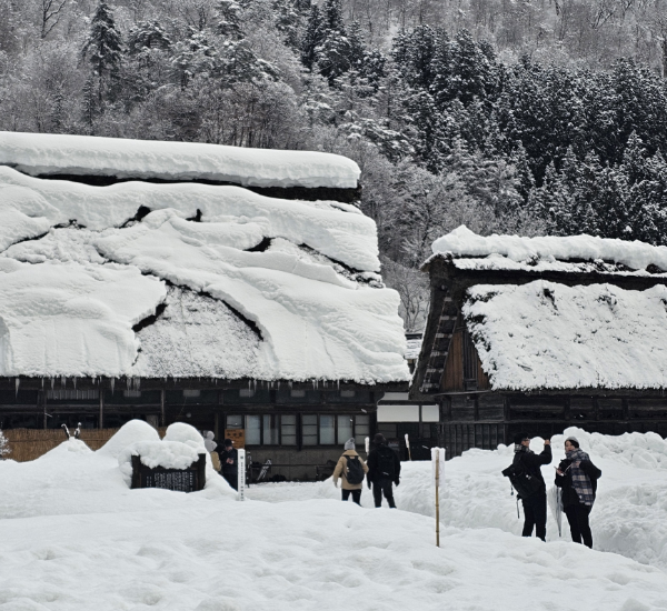 시라카와고-풍경