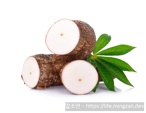 저칼로리 다이어트 식품으로 쓰이는 타피오카