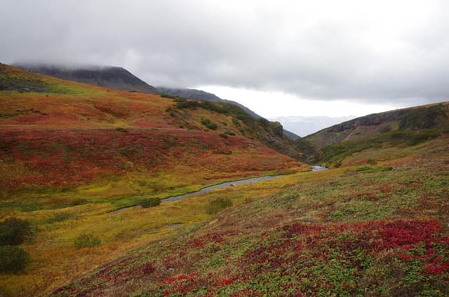 합리적 의심 없는 입증의 기준에 관한 비교판례 분석
