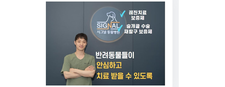 서울 영등포구 동물병원