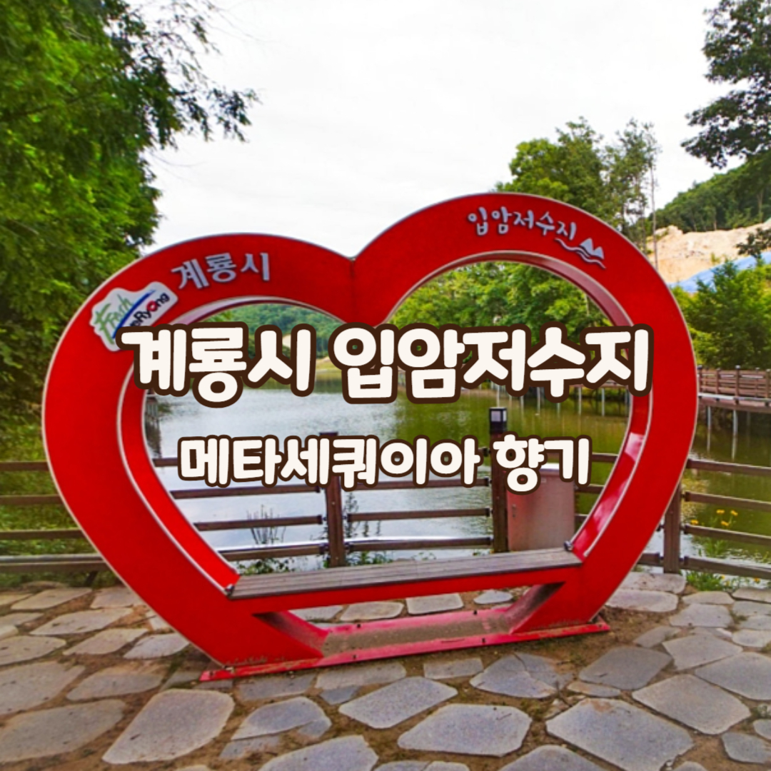 입암저수지