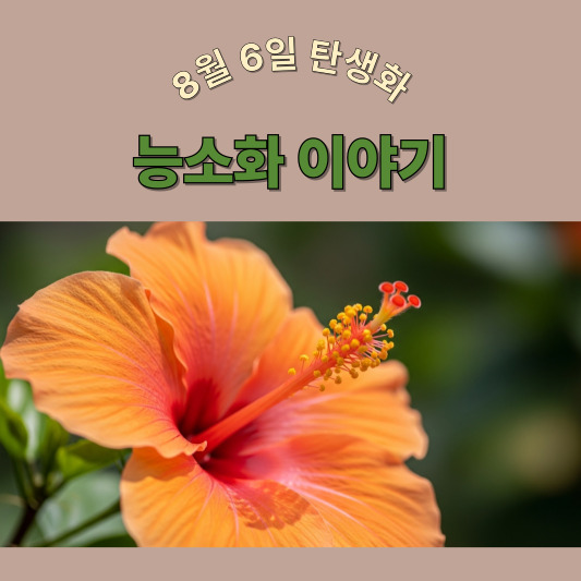 8월 6일 탄생화, 능소화